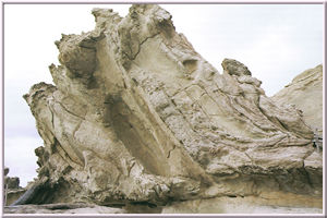 島弧-海溝系背弧域における堆積盆の形成・発達史
