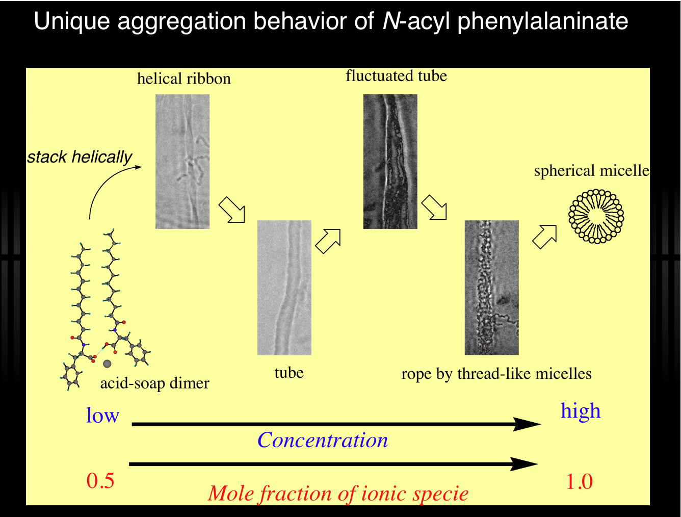 Aggregation behavior of surfactants and amino acid-type surfactants