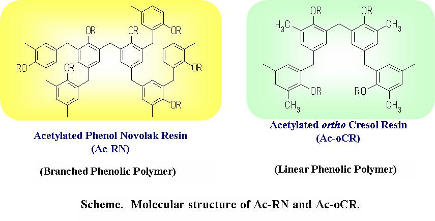機能性高分子量フェノール系樹脂の合成および構造解析