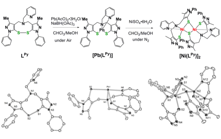 synthesis of metal complexes with thiolate ligands 