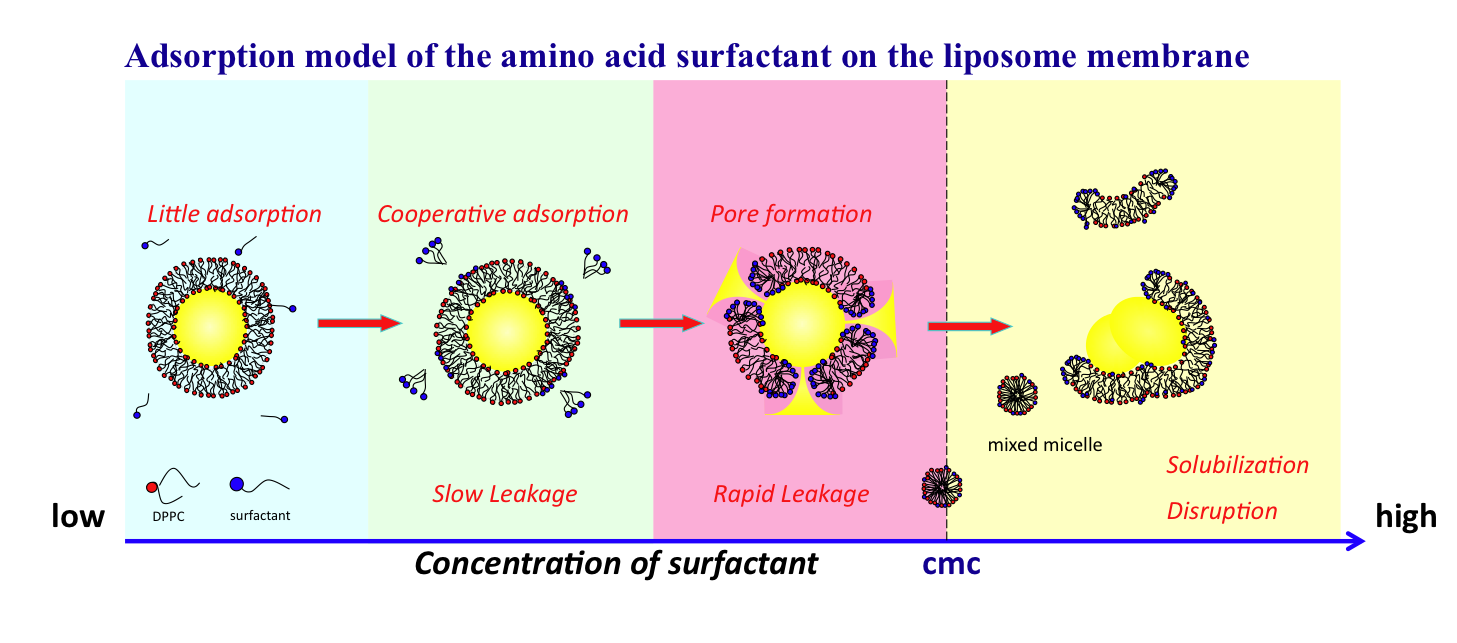 Interaction between biomaterials and surfactant