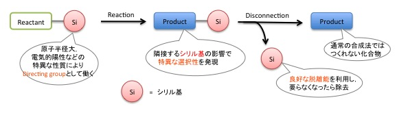 本田 光典 金沢大学研究者情報