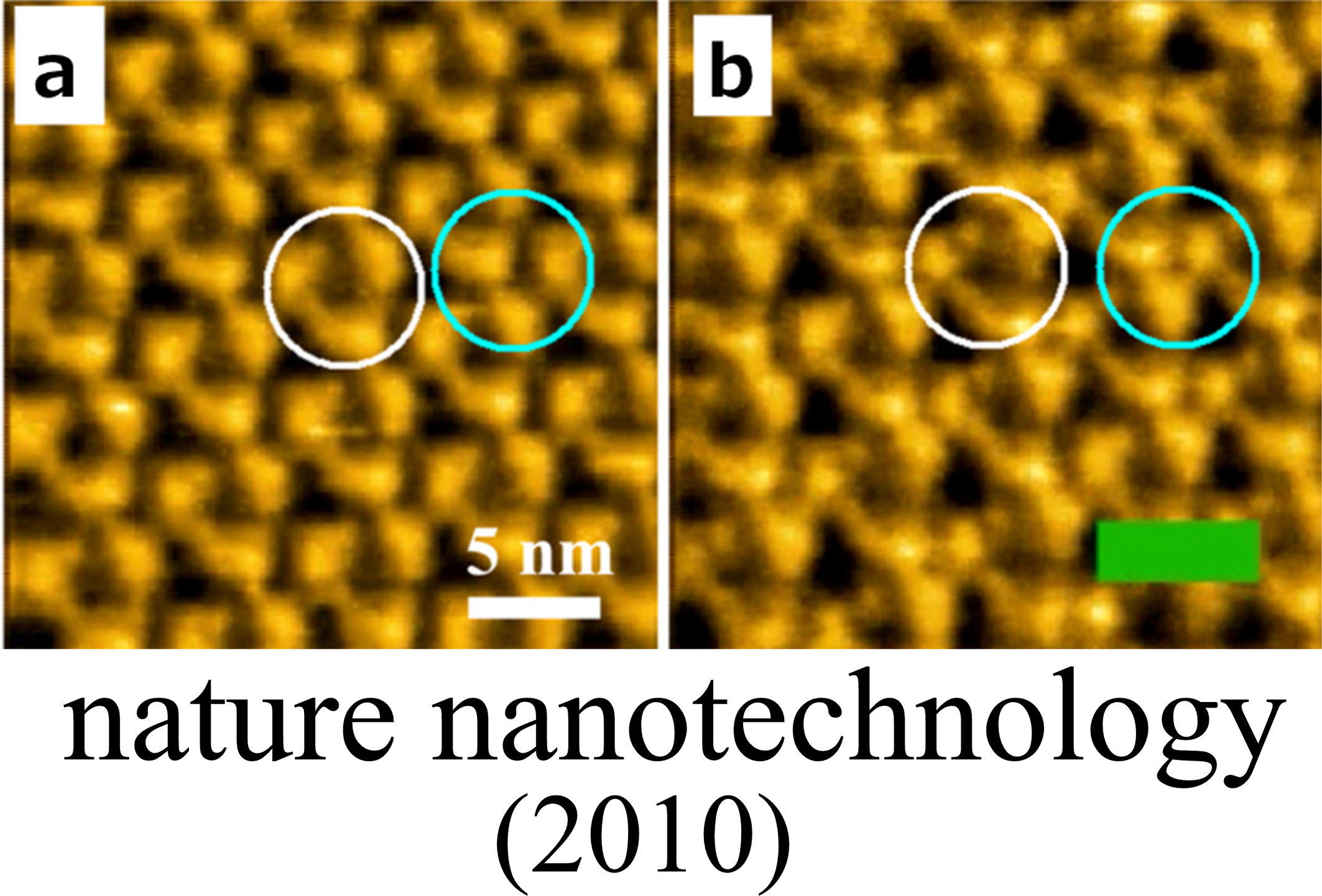 Development and Biological Application of High-speed Atomic Force Microscopy