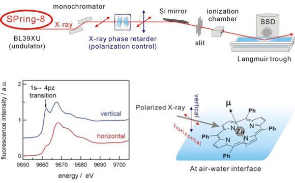 不均一反応場におけるX線吸収分光法による分子構造解析