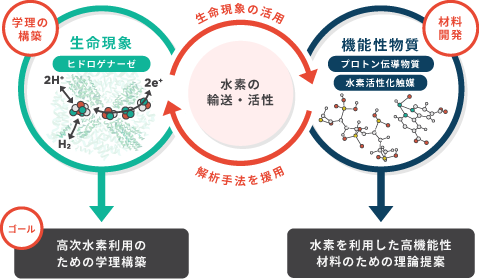 Elucidation of chemical reactions and physical properties, and the design of materials and catalysts using computational chemistry and machine learning